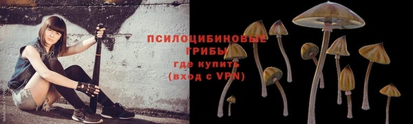 spice Дмитровск