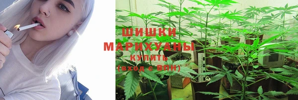 spice Дмитровск