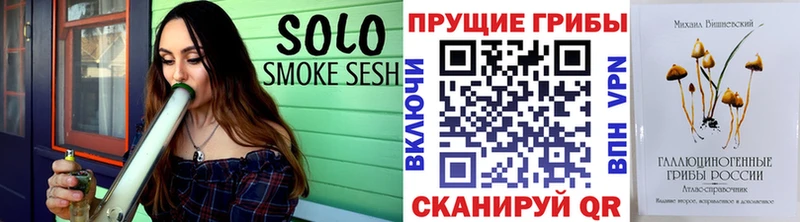 хочу   ссылка на мегу как зайти  Псилоцибиновые грибы GOLDEN TEACHER  Жуковка 